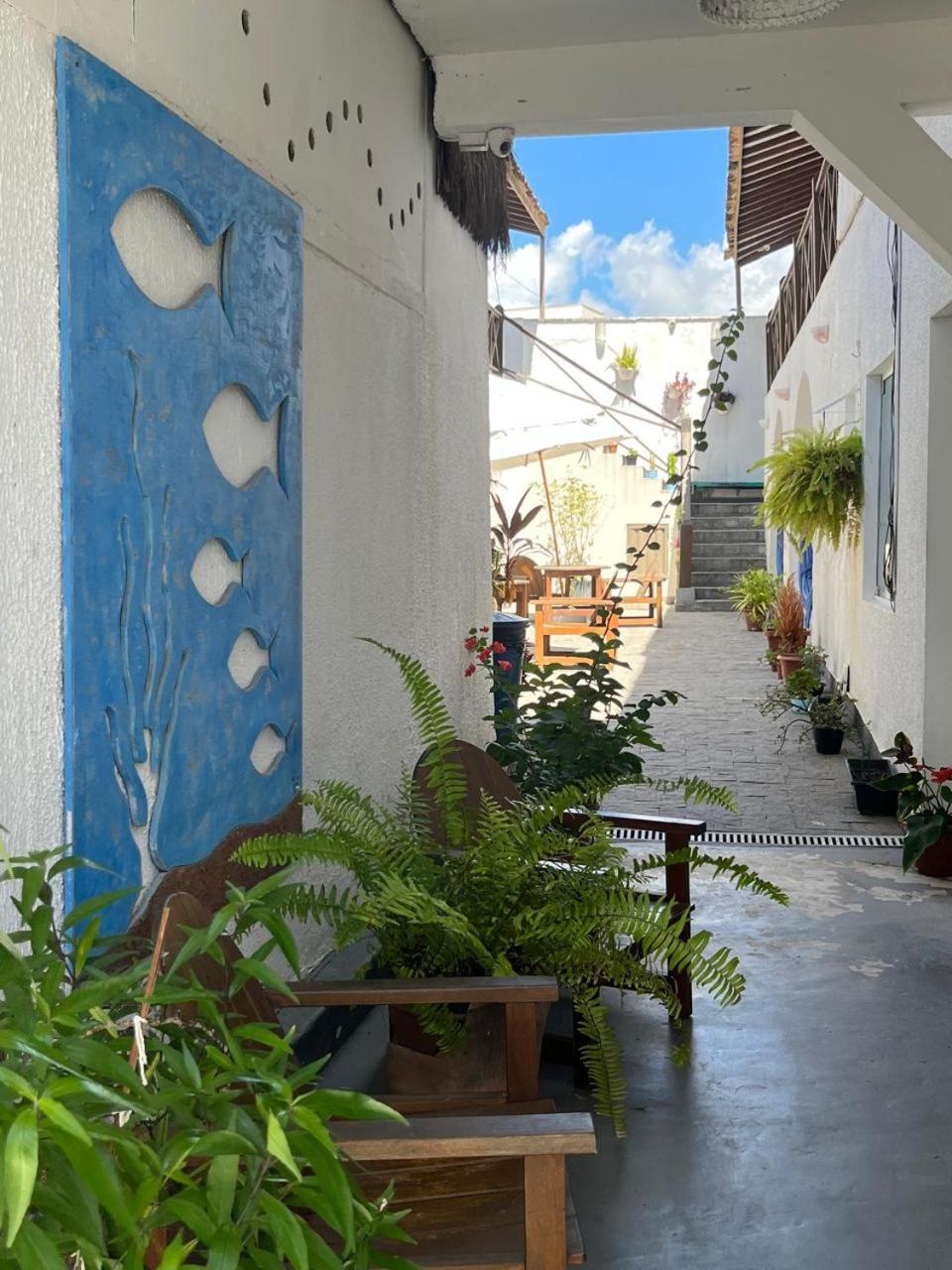 Vila Mucuge Pousada E Hostel Порту-Сегуру Екстер'єр фото
